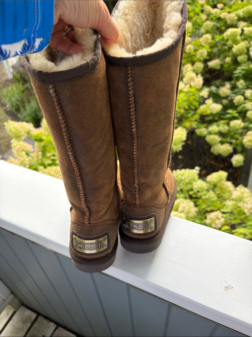 Australia Luxe Collective Tall Shearling-Lined Brown Suede Boots